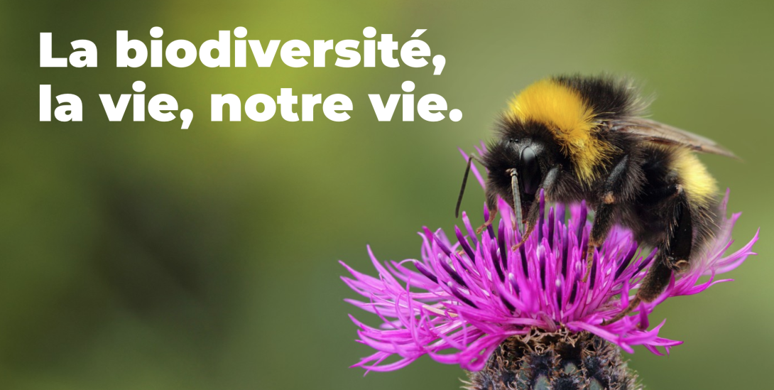 La biodiversité, la vie, notre vie